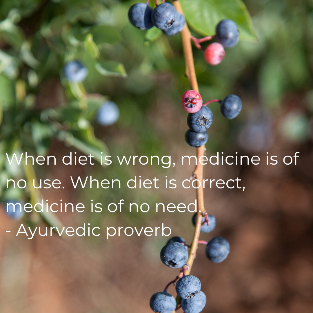 When diet is wrong, medicine is of no use. When diet is correct, medicine is of no need. - Ayurvedic proverb